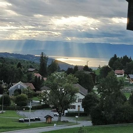 Balcony Of Lake Geneva Thollon-les-Memises Exteriör bild